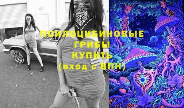 стаф Верхний Тагил